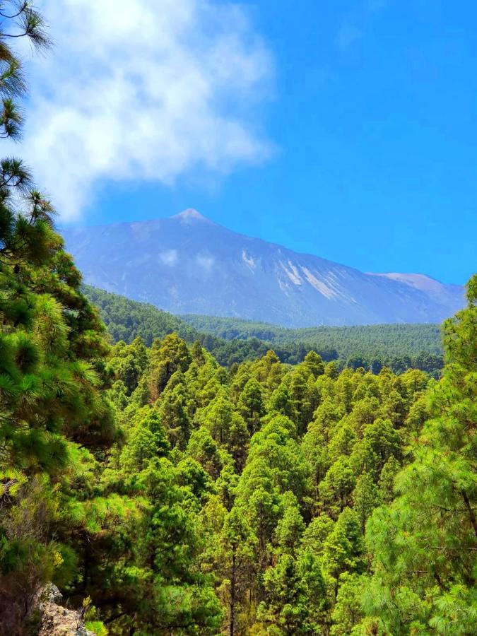 Monte Frio De Tenerife La Guancha Exteriör bild
